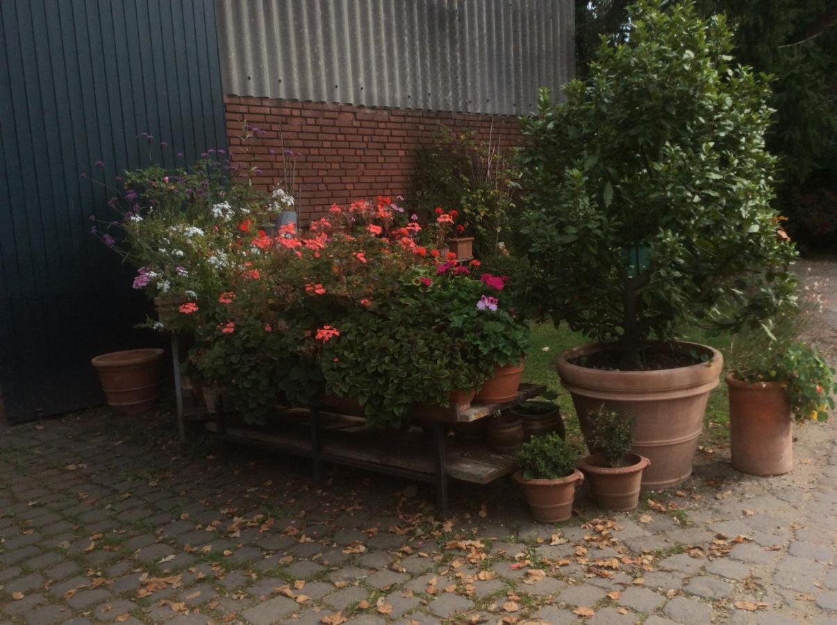 Ferienwohnung Haumannshof Xanten Kültér fotó